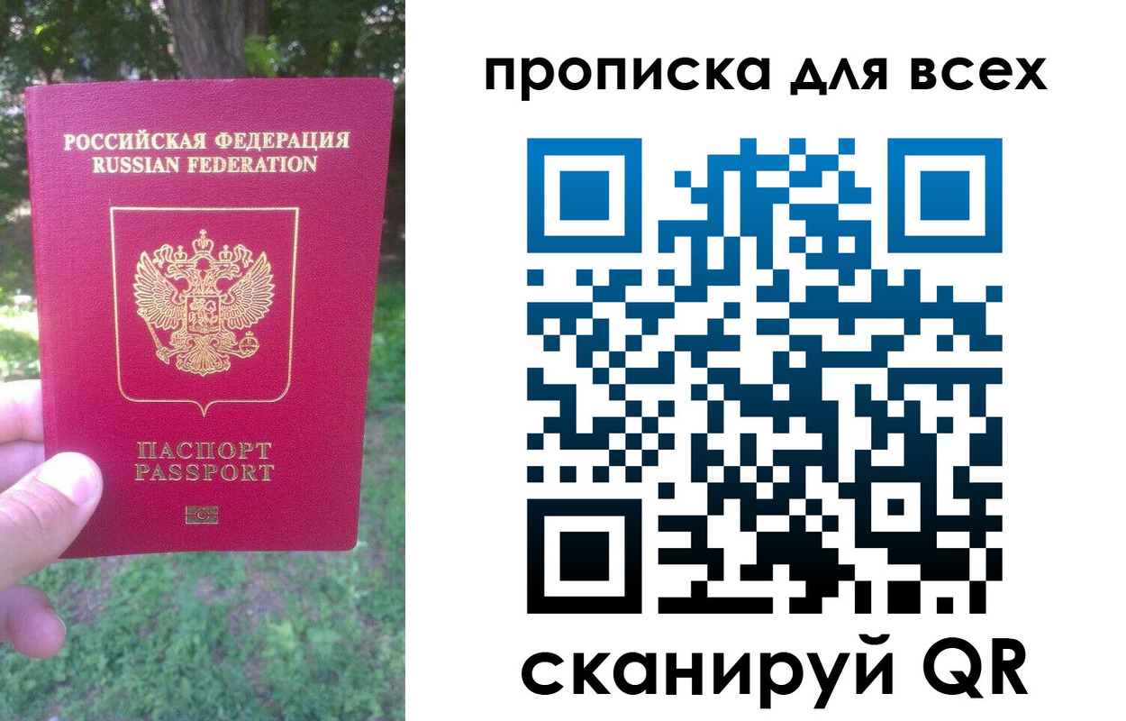 прописка поиск в Бабаево